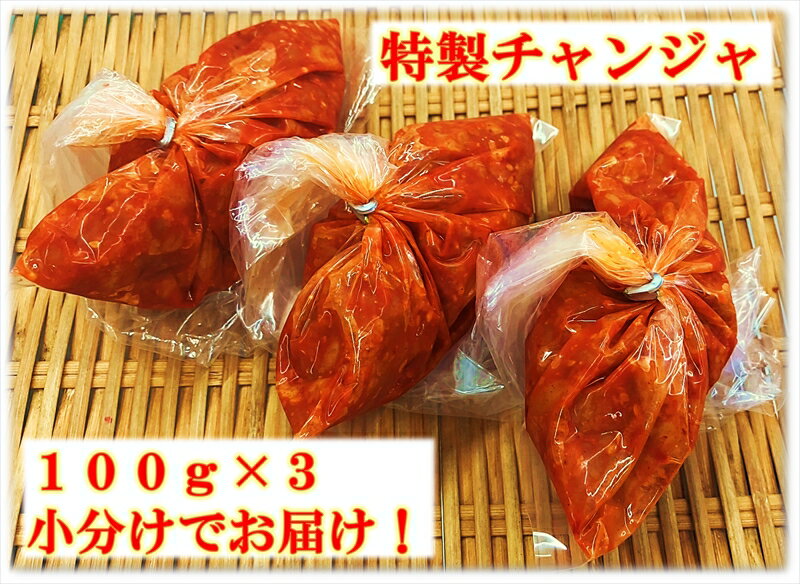 【ふるさと納税】 特製チャンジャ 自家製ヤンニョンジャン使用 300g（小分け100g×3）【特製チャンジャ 自家製ヤンニョンジャン 300g 小分け チャンジャ ヤンニョンジャン キムチ 鱈 タラ たら 内臓 胃 胃袋 珍味 珍味キムチ 大阪府 松原市 】