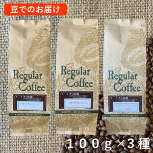 【ふるさと納税】豆100g×3　自家焙煎直送　ロイヤルB・マウンテンB・今月のスペシャルティ珈琲の詰め合わせセット　【コーヒー コーヒー豆　サン珈琲　しっかりしたコク　甘み　ロイヤルブレンド 大阪府 松原市 】