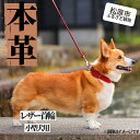 36位! 口コミ数「0件」評価「0」【本革首輪】　小型犬用　マイスタープラス　レザーカラー　＃15　オレンジ【 ペット 大阪府 松原市 】