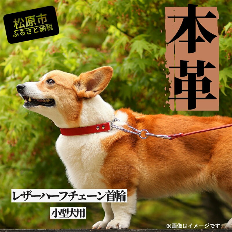 【ふるさと納税】【本革首輪】 中型犬用　首輪　マイスタープラ