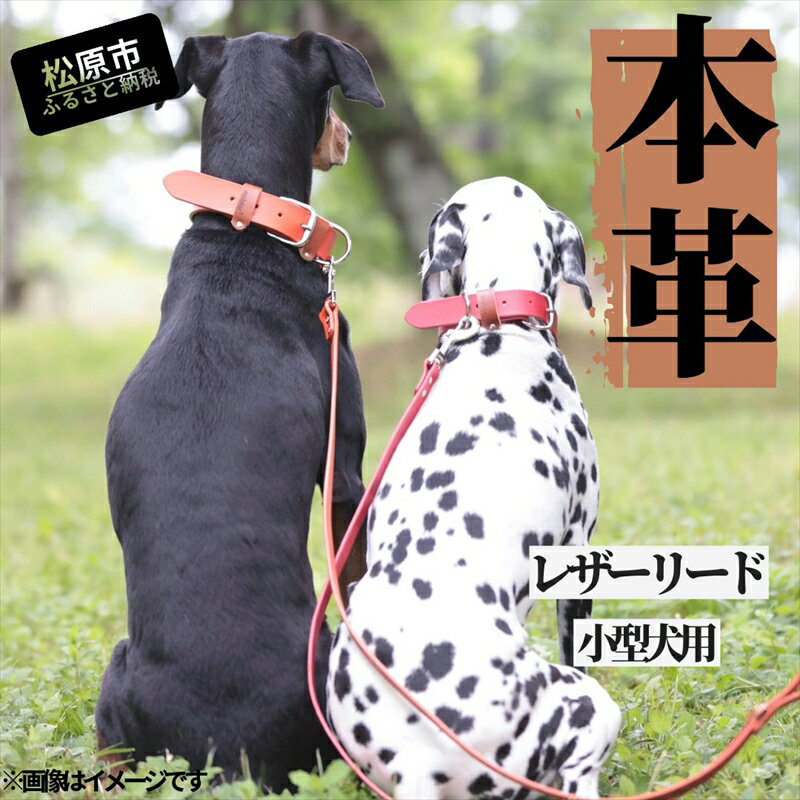 　小型犬用　リード　マイスタープラス　レザーリード　オレンジ　#15