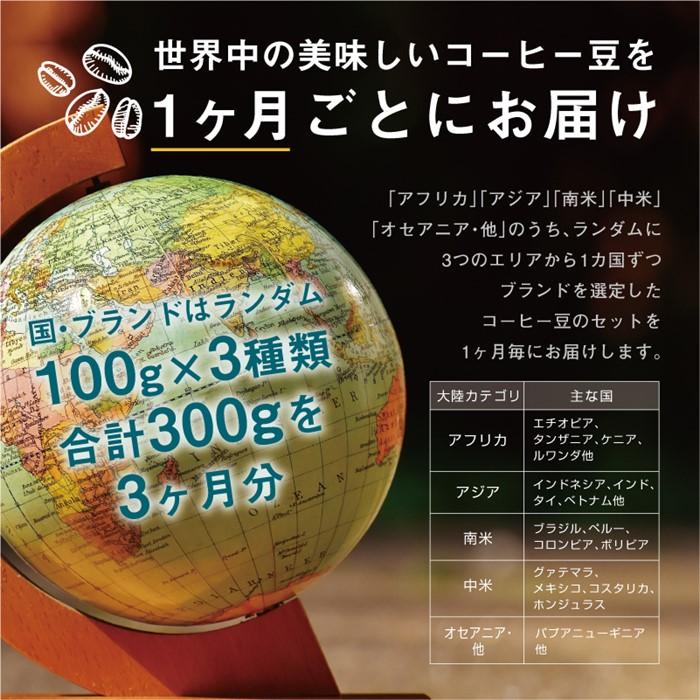 【ふるさと納税】【 3か月 定期便 】 焙煎士 お任せ 100g × 3種類セット [ 豆のまま ] 受注自家焙煎 珈琲豆 コーヒー豆 | 珈琲 コーヒー 焙煎 大阪府大東市