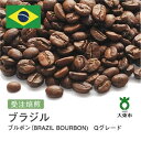 【ふるさと納税】[ 豆 ]#2 受注焙煎！310g ブラジル ブルボン（BRAZIL BOURBON)　Qグレード 珈琲豆 コーヒー豆 自家焙煎 | 珈琲 コーヒー 焙煎 カフェ 大阪府大東市