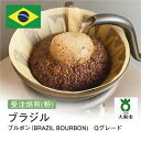 【ふるさと納税】[ 粉 ]#2 受注焙煎！310g ブラジル ブルボン（BRAZIL BOURBON) Qグレード 珈琲粉 コーヒー粉 自家焙煎 | 珈琲 コーヒー 焙煎 カフェ 大阪府大東市