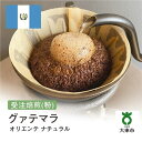 【ふるさと納税】[ 粉 ]#67 受注焙煎！310g グアテマラ オリエンテ ナチュラル 珈琲粉 コーヒー粉 自家焙煎 | 珈琲 コーヒー 焙煎 カフェ 大阪府大東市