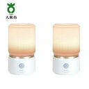 【ふるさと納税】乾電池式 人感 & 明暗 LEDセンサーライト 2台セット | 大阪府 大東市 関西 ライト 照明 照明器具 ランプ 屋外 玄関 センサー 屋外...