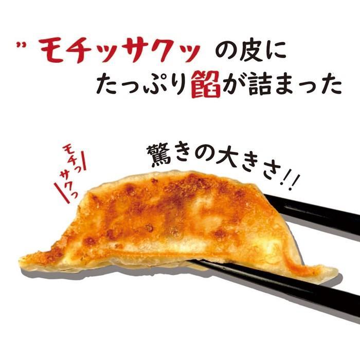 【ふるさと納税】【大阪名物】大阪ふくちぁん餃子 冷凍生餃子 288個 ［36個入×8セット］ | ギョウザ ギョーザ 冷凍餃子 冷凍 生餃子 おつまみ おかず 惣菜 国産豚肉 国産野菜 中華 焼くだけ 詰合せ 大容量 人気 おすすめ 送料無料