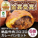 【ふるさと納税】カレーパン 6個 牛肉 ゴロゴロ グランプリ 金賞受賞 | パン