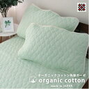 【ふるさと納税】【Lサイズ 50×70】和泉木綿オーガニックコットン先染ガーゼ枕パッド グリーン2枚組 SOG-5L【1328514】