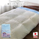 【ふるさと納税】【ダブルサイズ】やわらか綿マイヤー掛ふとんカバー(190×210cm)ブルー FCW-951T-BL【1433649】
