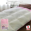 【ふるさと納税】【ダブルサイズ】やわらか綿マイヤー掛ふとんカバー(190×210cm)ピンク FCW-951T-PI【1433650】