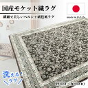 【ふるさと納税】【3畳用】200×250cm 洗える国産モケット織ラグ ブラウン(ポーロ200×250BR)【1496350】