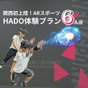 【ふるさと納税】HADO体験会(60分) チケット 6人分 エコール・いずみ 大阪【1504884】