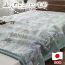 【ふるさと納税】【シングルサイズ】オールシーズンふんわりやわらか綿毛布 ブルー1枚 MO-110-BL【1506858】