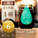 【ふるさと納税】【2ヵ月毎定期便】インカナム マヌカハニー【MGO550+】500g×1個 全6回【配送不可地域:離島】【4050103】