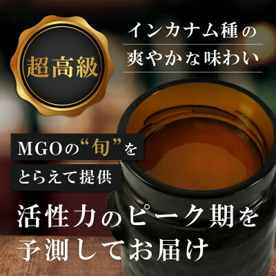 【ふるさと納税】【毎月定期便】インカナム マヌカハニー【MGO220+】250g×1個　全12回【配送不可地域：離島】【4050106】