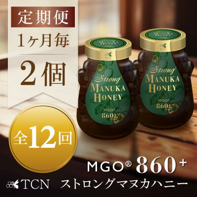 20位! 口コミ数「0件」評価「0」【毎月定期便】ストロングマヌカハニー【MGO860+】500g×2個　全12回【4050135】