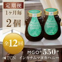 【ふるさと納税】【毎月定期便】インカナム マヌカハニー【MGO550+】500g×2個 全12回【配送不可地域:離島】【4050140】