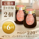 【ふるさと納税】【2ヵ月毎定期便】インカナム マヌカハニー【MGO220+】250g×2個 全6回【配送不可地域:離島】【4050147】