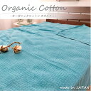 【ふるさと納税】【シングル】オーガニックコットンタオルケット(145×190cm)ターコイズ OH-5774-TA【1417233】