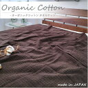 【ふるさと納税】【シングル】オーガニックコットンタオルケット(145×190cm)ブラウン OH-5774-BR【1417244】