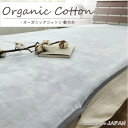 【ふるさと納税】【セミダブル】贅沢ふわふわオーガニックコットン敷毛布 120×205cm OGMS-3SW-GY【1417267】