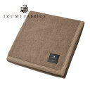 【ふるさと納税】【シングル】カシミヤ毛布 イズミファブリックス_ 毛布 カシミヤ カシミヤ毛布 イズミファブリックス シングル 軽い 暖かい 光沢 寝具 吸湿発...