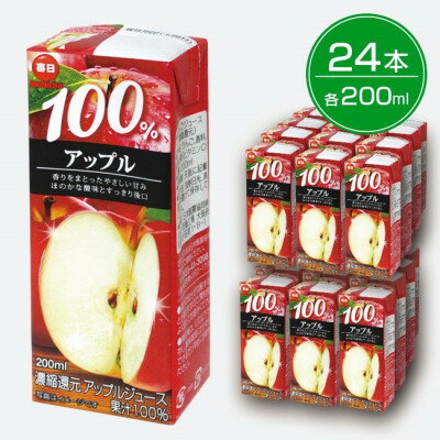 【ふるさと納税】毎日牛乳 毎日100%アップル 200ml紙パック×24本入_ アップルジュース りんごジュース リンゴ 林檎 アップル 紙パック 果汁100%...