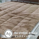 【ふるさと納税】【シングル】銀イオン加工シート入り ミンクファー敷パッド〈ブラウン〉 GFP-20S-BR【1417502】