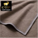 【ふるさと納税】【ひざ掛サイズ】繊維の宝石カシミヤ100%(毛羽部分)毛布 CS-12H BE【1417768】