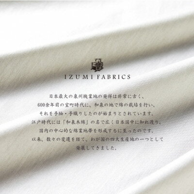 【ふるさと納税】(50×90cm)ハンガリー産ホワイトダックダウンピロー(羽毛枕)&ピローケース:プラチナグレー【1501060】 [3]