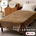【ふるさと納税】【アクリル毛布 吸湿発熱 シングルサイズ ブラウン】140×200cm 大阪府和泉市産【1502191】
