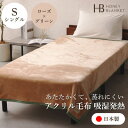 【ふるさと納税】【アクリル毛布 吸湿発熱 シングルサイズ ローズ×グリーン】140×200cm 大阪府和泉市産【1502196】