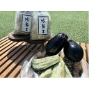 【ふるさと納税】泉州 水なす糠漬け(8個入)【配送不可地域:離島】【1515852】