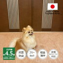【ふるさと納税】カーペット 日本製 抗菌防臭 ペット対応 ビオラ 261×261cm 江戸間 4.5畳 ベージュ【1519444】