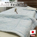 【ふるさと納税】贅沢ジャガード織 タオルふとん シングルサイズ(140×190cm)ブルー SNF-13T-BL【1526113】