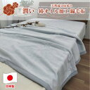 【ふるさと納税】椿オイル加工 ふんわり綿毛布 シングルサイズ(140×200cm)グレー CNM-101-GY【1526129】