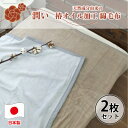 【ふるさと納税】【2枚組】椿オイル加工 ふんわり綿毛布 シングルサイズ(140×200cm)CNM-101-2P【1526137】