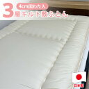 【ふるさと納税】【ファミリーサイズ】日本製 3層立体コンフォーター敷ふとん205×205cm HGーFM【1559678】