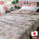 【ふるさと納税】椿オイル加工 ふんわり綿毛布 シングルサイズ(140×200cm)ピンク CNM-300ーPI【1561022】