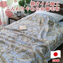 【ふるさと納税】椿オイル加工 ふんわり綿毛布 シングルサイズ(140×200cm)ブルー CNM-300ーBL【1561024】