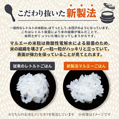 【ふるさと納税】【2ヵ月毎定期便】パックごはん 3個入り(1個200g)×12セット36食入コシヒカリ(特)　全2回【4059853】