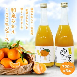 【ふるさと納税】和泉みかんを使用した100%みかんジュース(720ml 6本セット)【1498456】