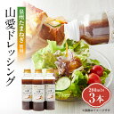【ふるさと納税】大阪府和泉市の泉州たまねぎを使った〈山愛ドレッシング〉3本セット【1498620】