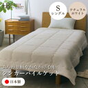 【ふるさと納税】【シンカーパイルキルトケット シングルサイズ ナチュラルホワイト】140×200cm 大阪府和泉市産【1591768】