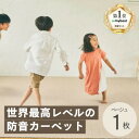 【ふるさと納税】最大82%の音をカットする防音タイルカーペット「防音専科」お試し1枚 ベージュ【1593169】