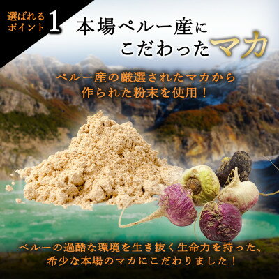 【ふるさと納税】4袋 120日分 不死鳥のように蘇る マカフェニックス シトルリン アルギニン 亜鉛 メンズサプリ【1602905】