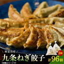 【ふるさと納税】大阪府和泉市産の九条ネギを使用した冷凍餃子 48個入×2パック(計96個) 道の駅で大好評!【配送不可地域:離島】【1498424】