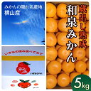 【ふるさと納税】隠れ名産地 蔵出し熟成和泉みかん(中玉・大玉サイズミックス)5kg【1499001】