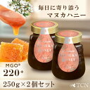 【ふるさと納税】【2個セット】インカナム マヌカハニー MGO 220+ 250g【1606254】